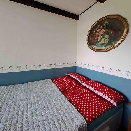 Ferienhaus Gransee Unmittelbar Am Stechlinsee - Radweg 外观 照片