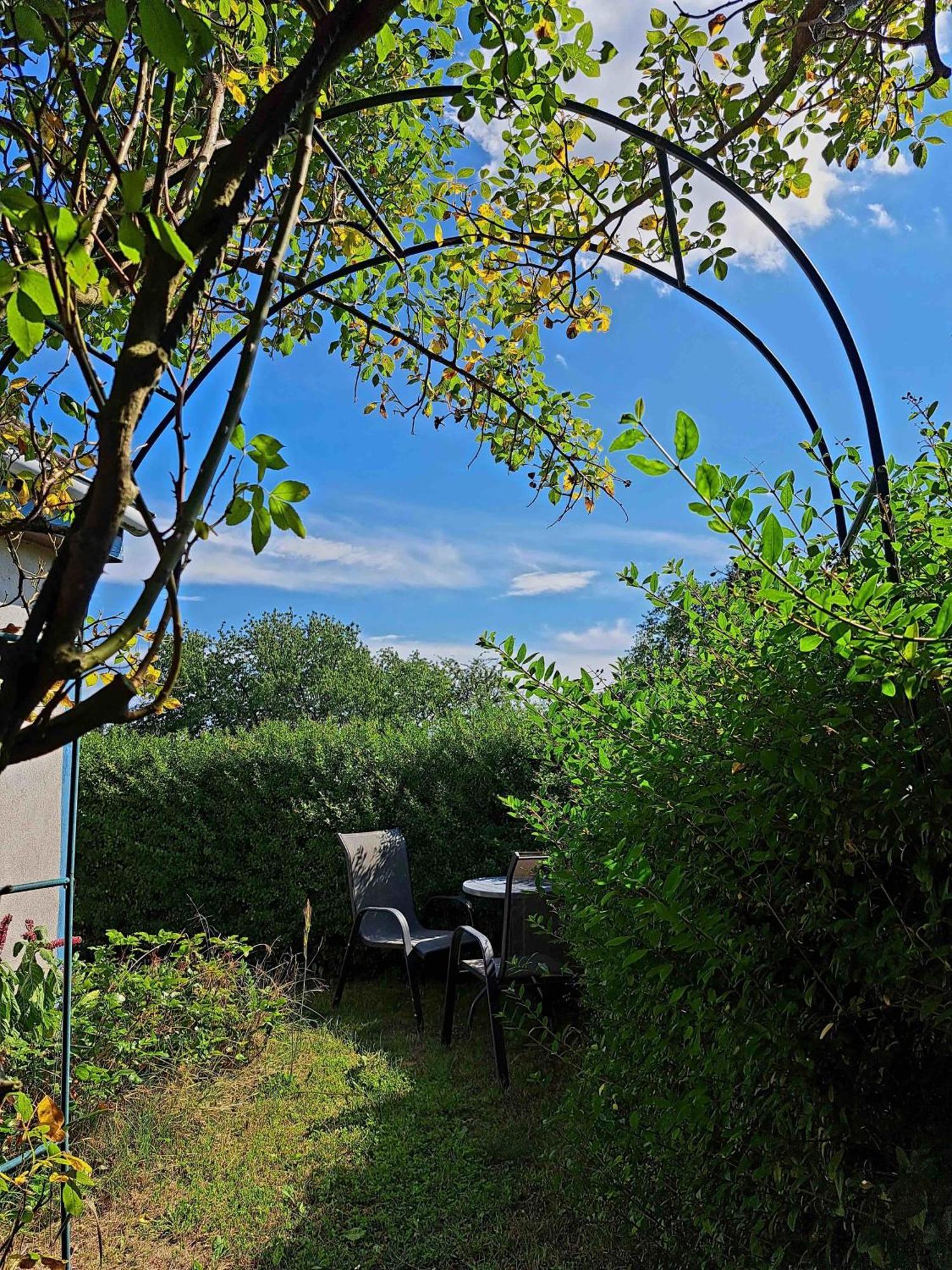 Ferienhaus Gransee Unmittelbar Am Stechlinsee - Radweg 外观 照片