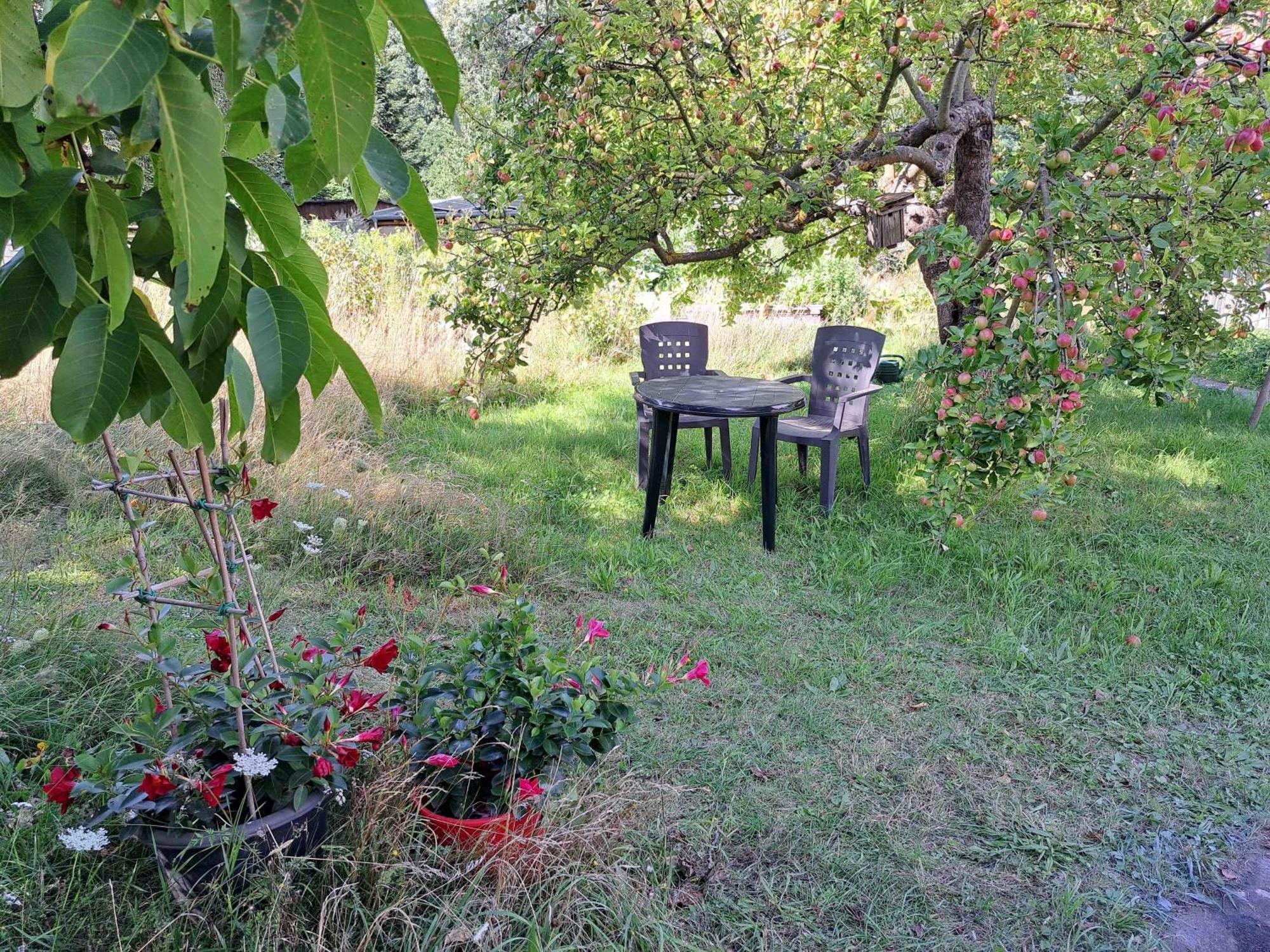 Ferienhaus Gransee Unmittelbar Am Stechlinsee - Radweg 外观 照片