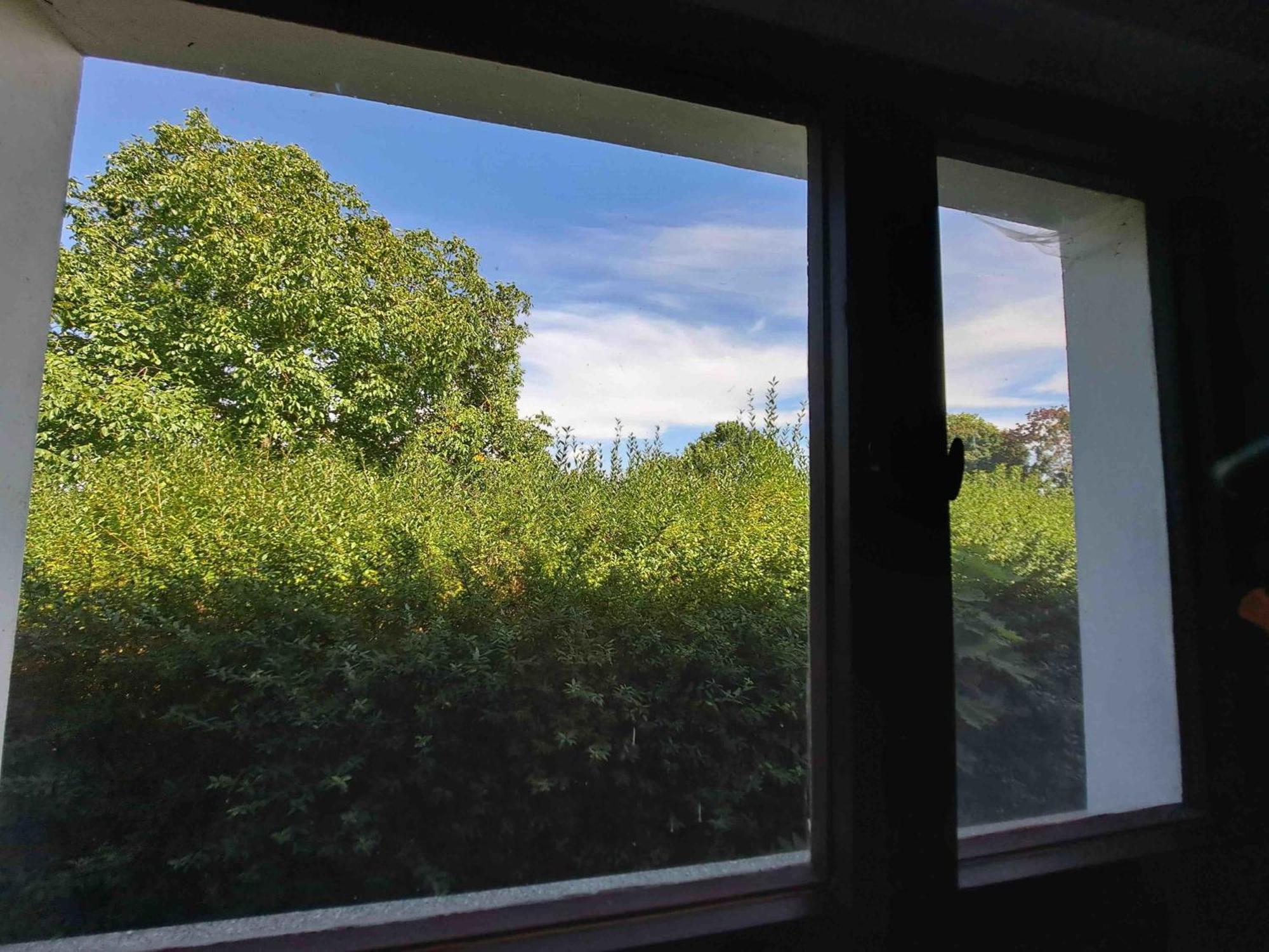 Ferienhaus Gransee Unmittelbar Am Stechlinsee - Radweg 外观 照片